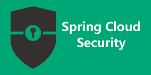 Spring Cloud Security